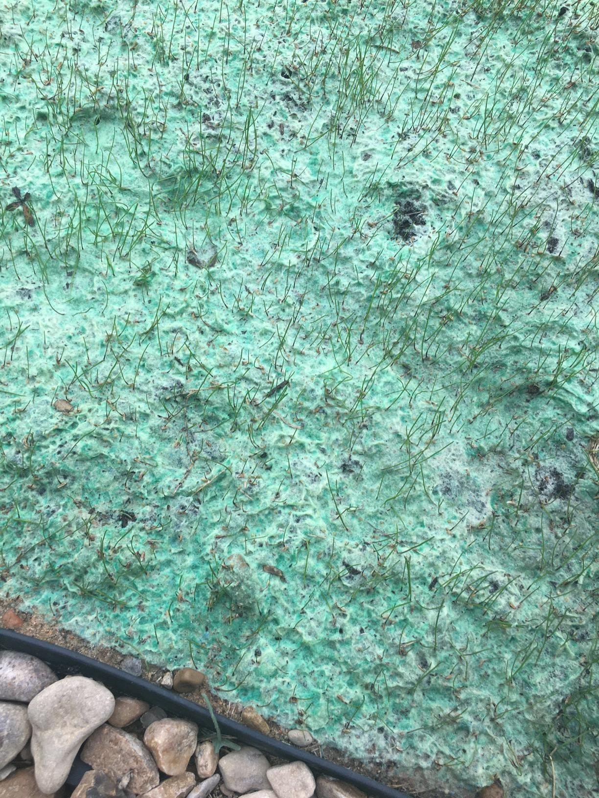 istaprato recensioni 4