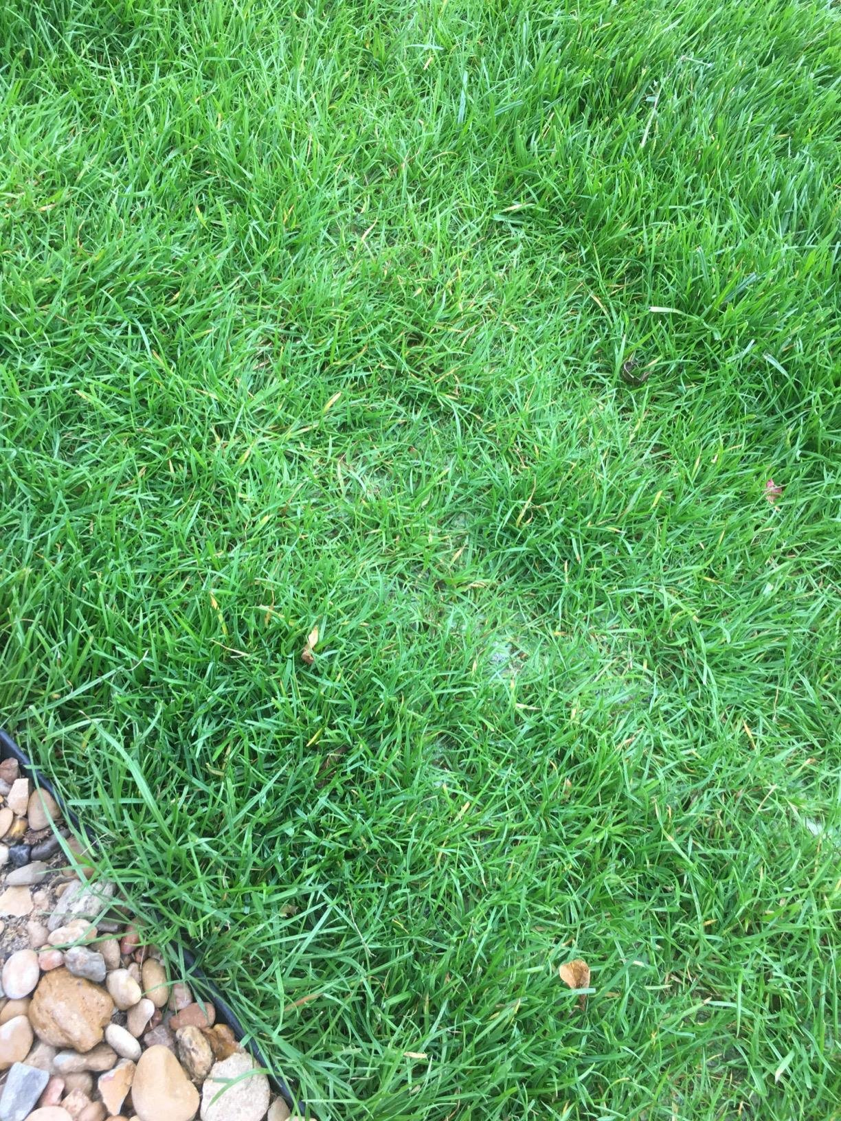 istaprato recensioni 5