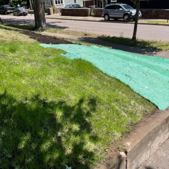 istaprato recensioni 6